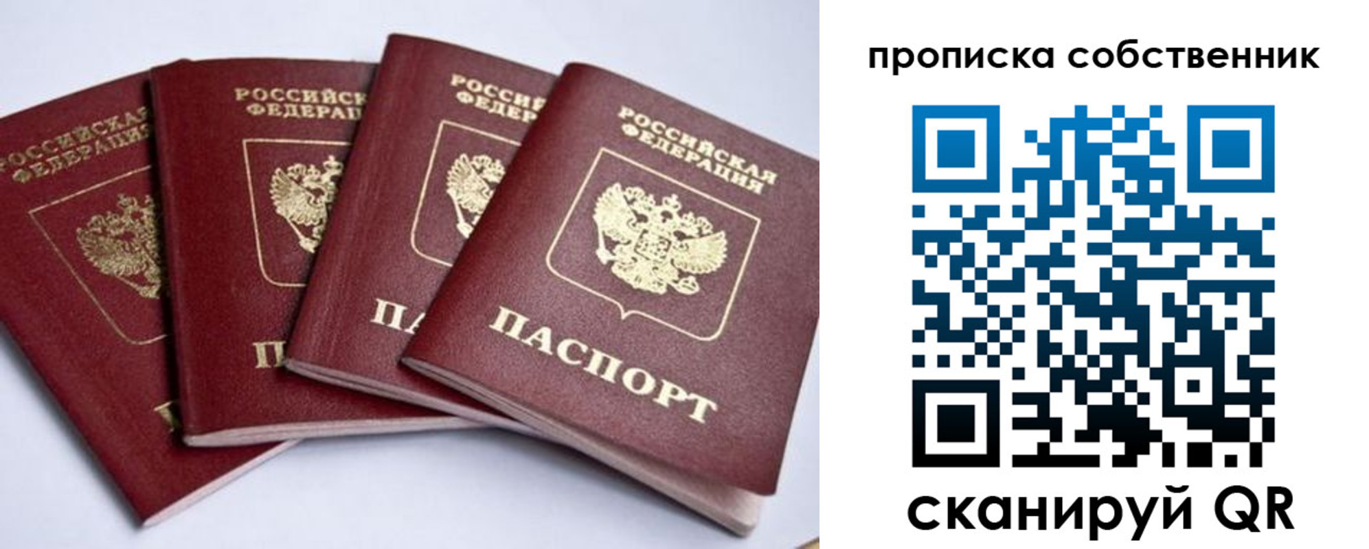 прописка для школы в Камчатской области