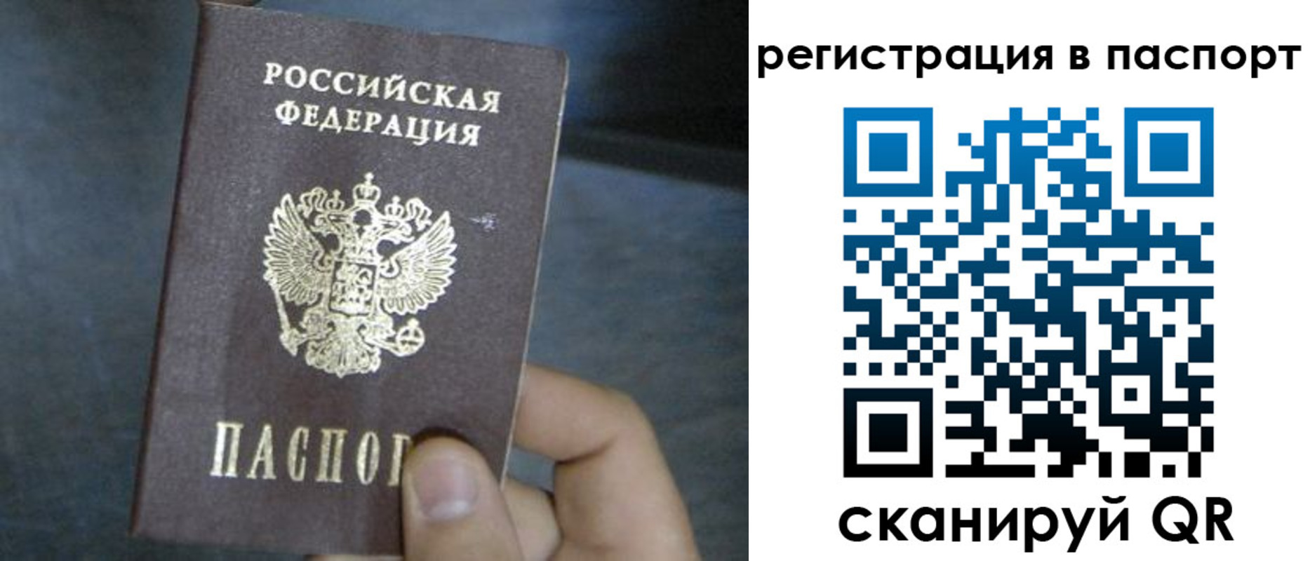 прописка 2025 в Камчатской области