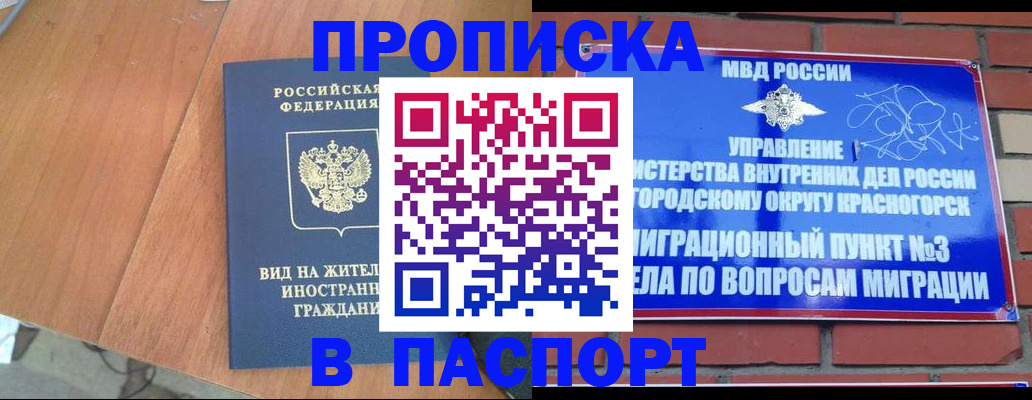 найти адрес прописки в Камчатской области